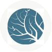 Lumion logo